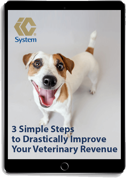 3 Simple Steps to Drastically Improve Your Veterinary Revenue ebook displayed on a tablet